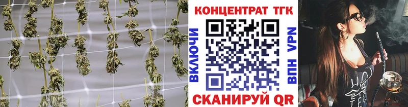 Дистиллят ТГК гашишное масло  блэк спрут ССЫЛКА  Шенкурск  как найти наркотики 