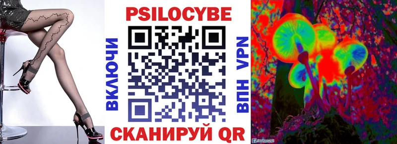 Псилоцибиновые грибы Cubensis  это состав  Шенкурск  блэк спрут как зайти 